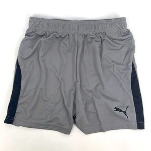 Puma Youth Liga Shorts